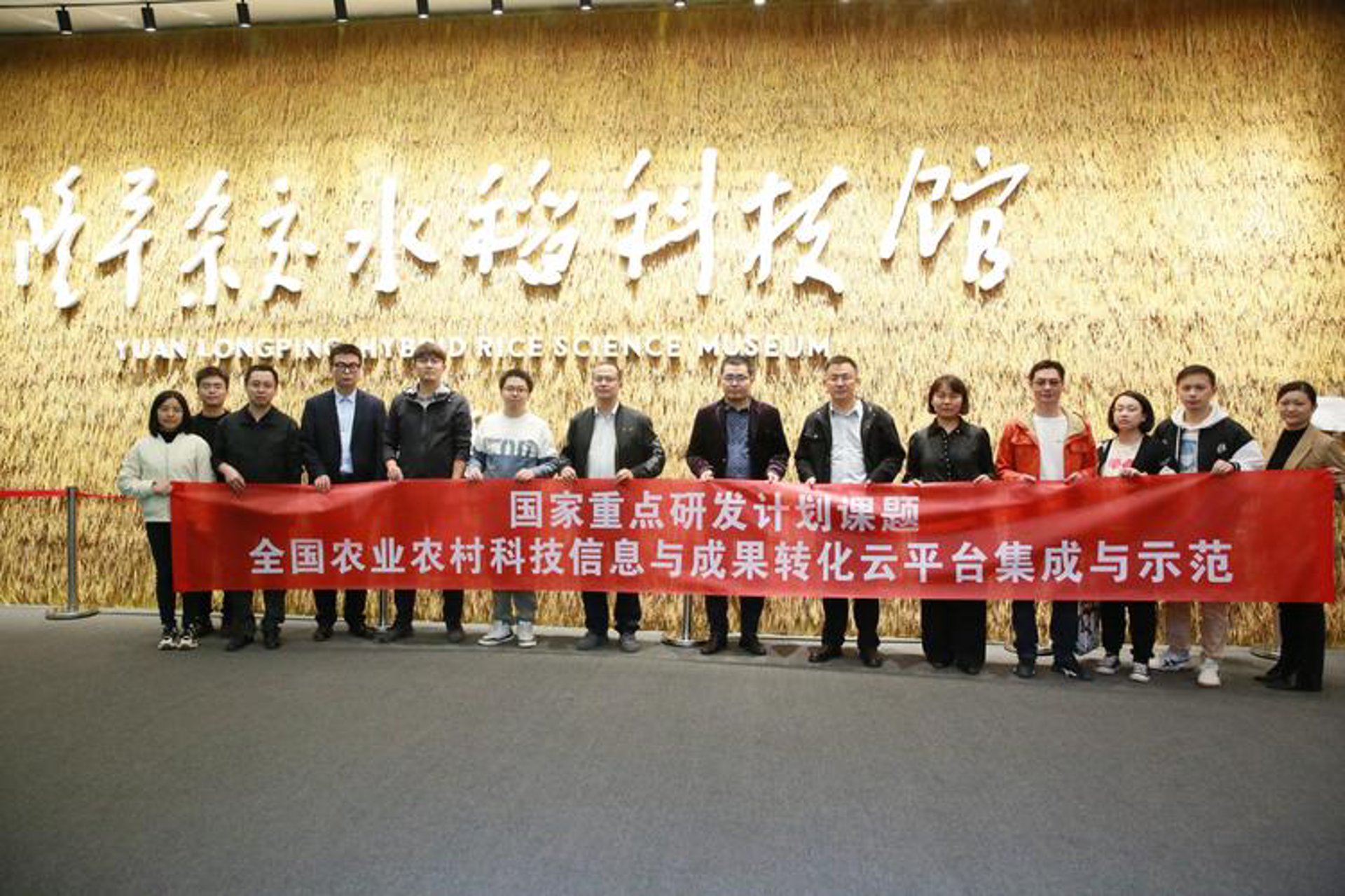 喜来稻网络科技