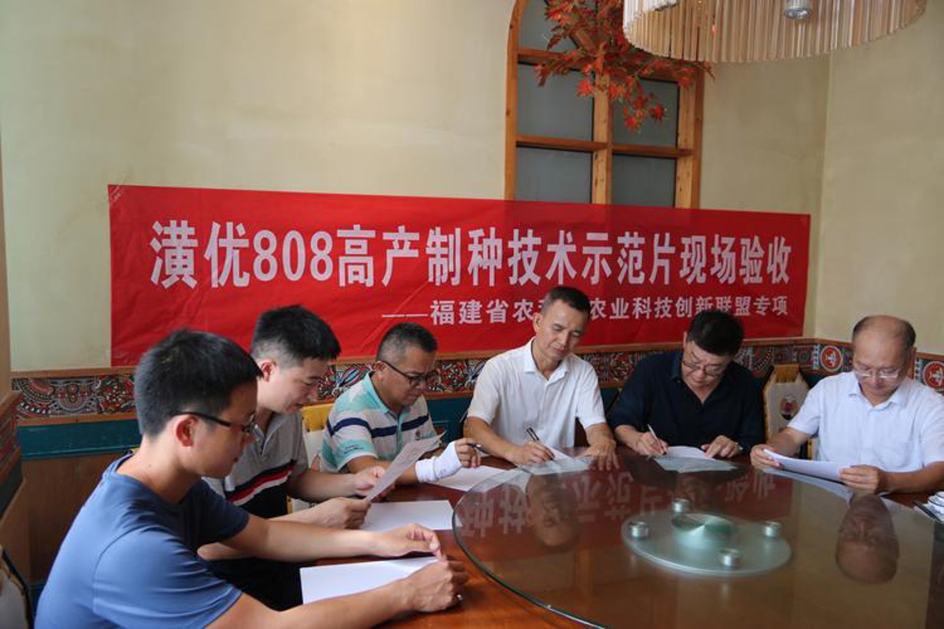 喜来稻网络科技